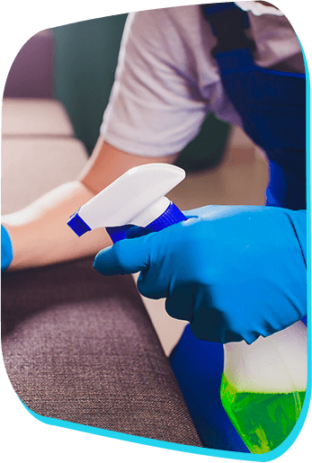 professional house cleaning services